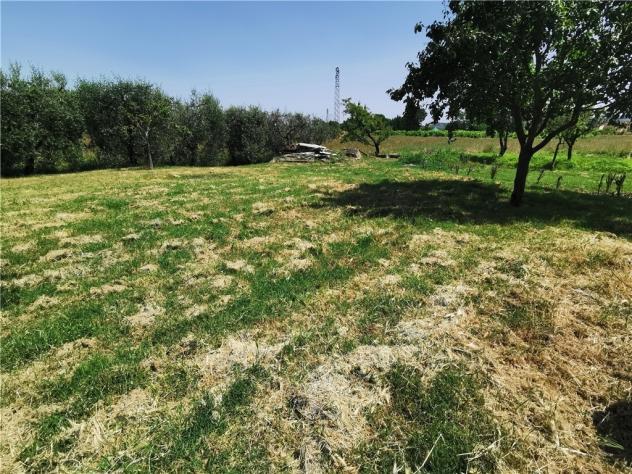 Terratetto in vendita a Isola - San Miniato 480 mq Rif: 1277471 - Foto 3