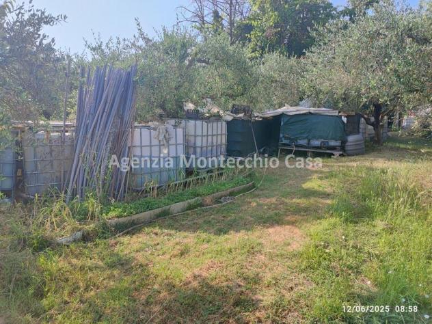 Occasione unica per amanti della natura e della campagna! - Foto 4