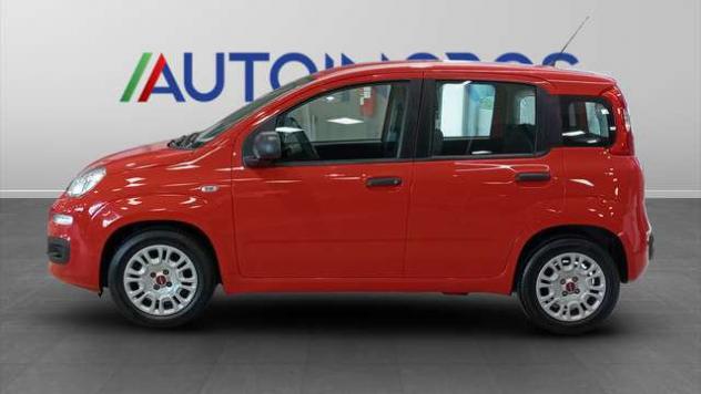 FIAT Panda 1.0 FireFly Hybrid - Foto 4