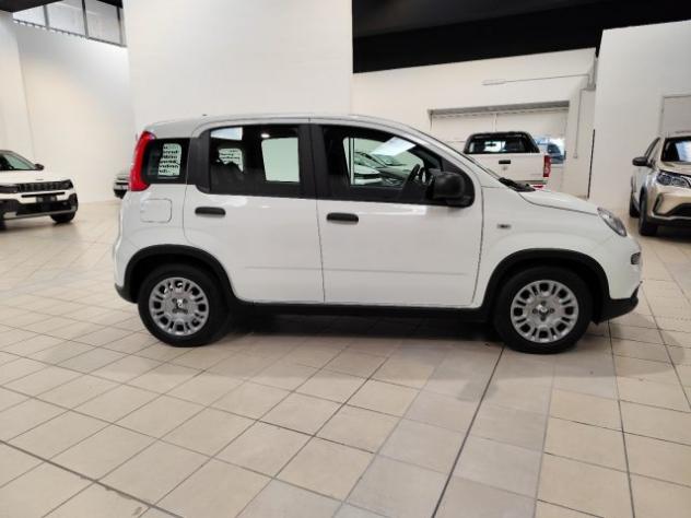 FIAT Panda 1.0 FireFly S&S Hybrid rif. 21774725 - Foto 4