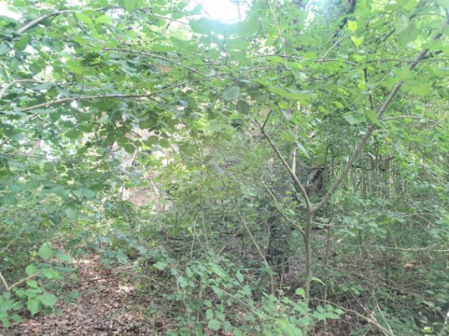Rustico / Casale di 400 m² in vendita a Bomporto - Foto 7