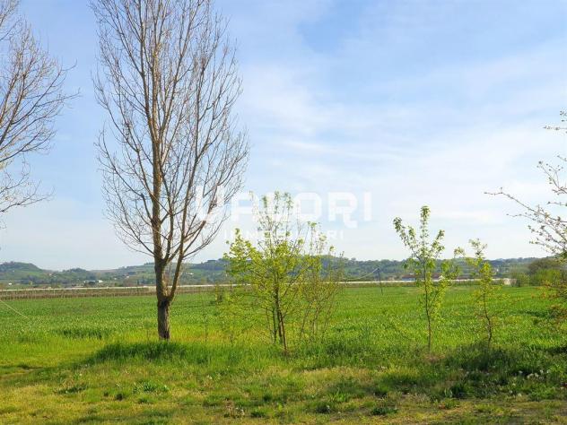 PODERE AGRICOLO DI HA 14.5 CON CASA COLONICA E SERVIZI - Foto 2