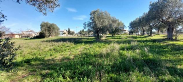 Immobile in asta di 6583 m² in vendita a Nereto - Foto 12