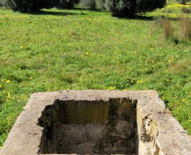 Immobile in asta di 19580 m² in vendita a Vittoria - Foto 6