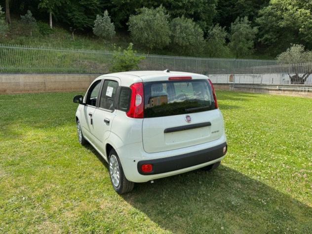 FIAT Pandina 1.0 FireFly 65cv S&S 6m Hybrid Icon - Foto 3