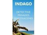 PRIVATE INVESTIGATION & INTELLIGENCE SERVICES