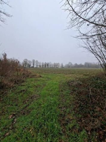 Immobile in asta di 14001 m² in vendita a Cavezzo - Foto 3