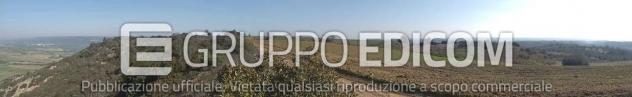Terreno di 46370 mq in vendita a Montescaglioso - Rif. 4555042 - Foto 11