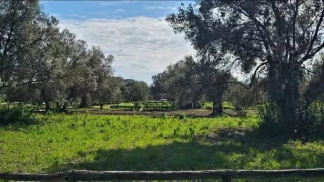 Immobile in asta di 5920 m² in vendita a Portigliola - Foto 11