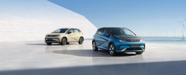 BYD Dolphin 60,4 kWh Comfort rif. 24169936
