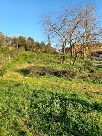Fienile in vendita a Capraia e Limite 90 mq Rif: 1325936 - Foto 8
