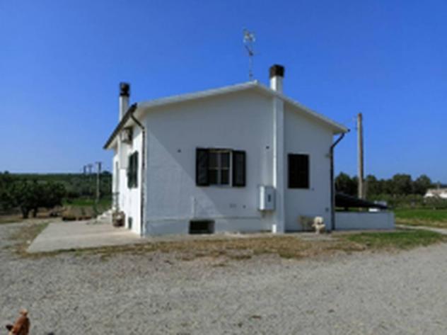 Immobile in asta di 96 m² in vendita a Pisticci - Foto 9
