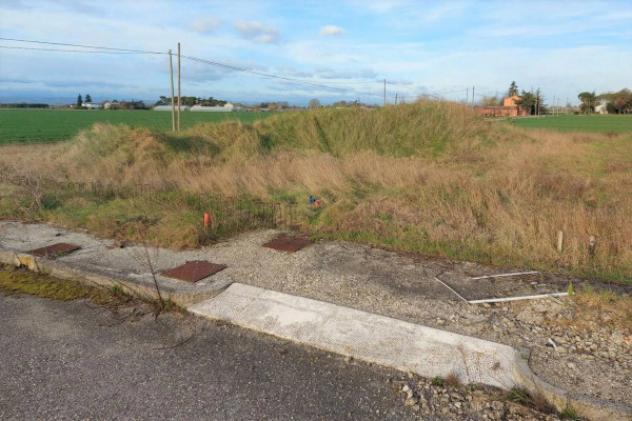 Immobile in asta di 104000 m² in vendita a Forlimpopoli - Foto 15