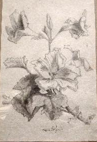 Quadro fiori vintage - Foto 2