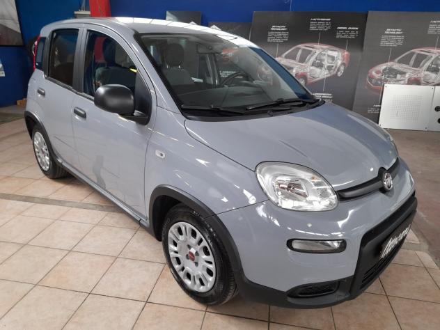 Fiat Panda 1.0 FireFly S&S Hybrid - Foto 3