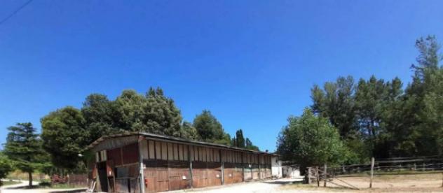 Immobile in asta di 188615 m² in vendita a Castelnuovo Berardenga - Foto 4