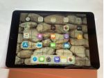 Apple iPad Mini 2 Wi-Fi e Cell