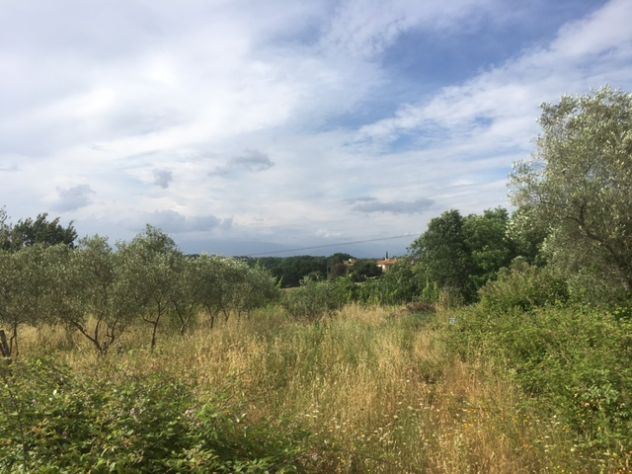 Terreno agricolo a Montecalvoli ( PI ) - Foto 5