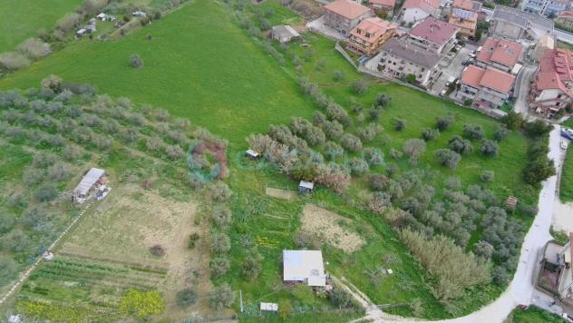 Agricolo in vendita a Silvi - Foto 4