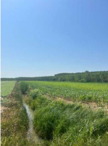 Immobile in asta di 21 m² in vendita a Villimpenta - Foto 4