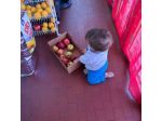 Valeria cerca una babysitter - lavoro da babysitter a Torino