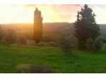 Ancora del Chianti di Laura Rontani