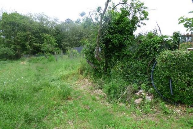 Terreno edif. residenziale in vendita a San Leonardo In Treponzio - Capannori 1500 mq Rif: 1385905 - Foto 2