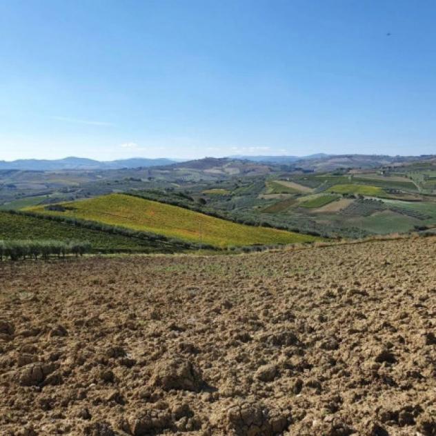 Immobile in asta di 5080 m² in vendita a Casalbordino - Foto 3