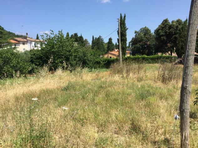 Agricolo in vendita a Chianni - Foto 4