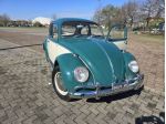 🐞 VOLKSWAGEN MAGGIOLINO 1965 – 6 VOLT