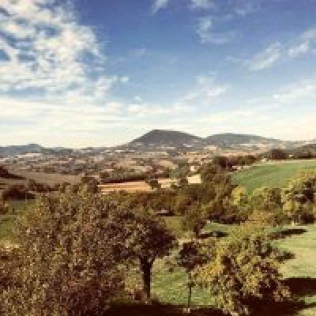 La Cerasa