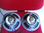 Woofer / Altoparlanti Audison - 2 pezzi