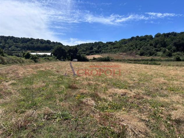 Terreno Agricolo - Rif. 2672 - Foto 3