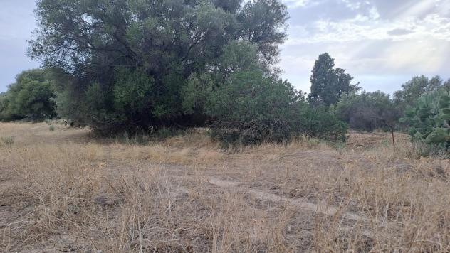 Agricolo in vendita a Quartucciu - Foto 11
