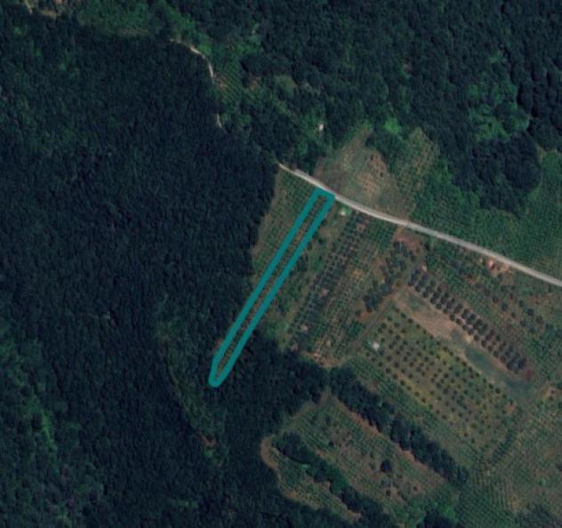 Immobile in asta di 5870 m² in vendita a Faleria