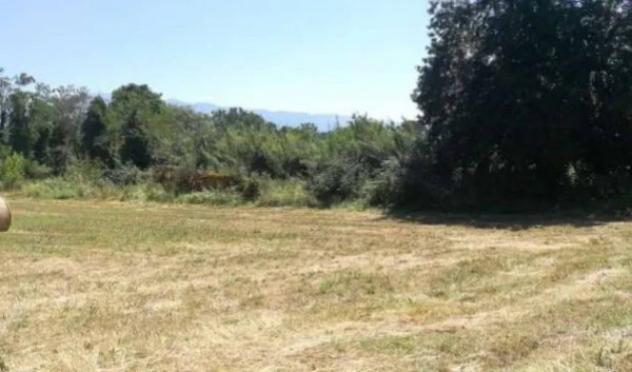 Immobile in asta di 7600 m² in vendita a Contigliano - Foto 3