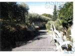 IMMOBILI-ALTRA CATEGORIA-Via di Capalle, 51035 Lamporecchio PT, Italia