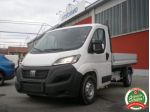 FIAT Ducato 35 2.2 Mjt 140CV Cassonato - PREZZO REALE rif. 23447364