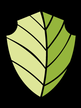 Tecnic* della sicurezza (QHSE)