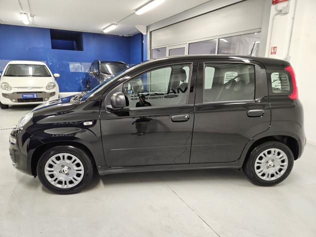 FIAT Pandina 1.0 firefly hybrid Icon s&s 65cv - Foto 3