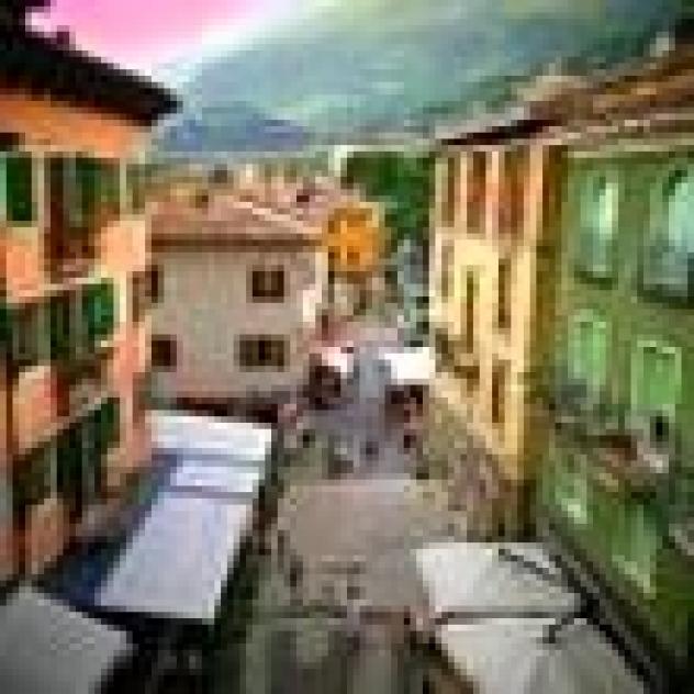 Eredi Trimeloni Angelo S.n.c. di Trimeloni Giulia & C. - Foto 4