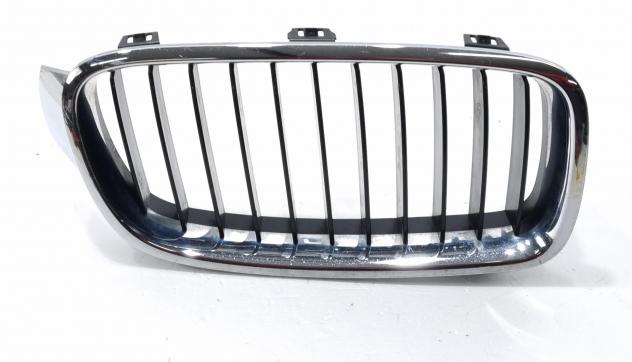 MASCHERINA ANTERIORE BMW Serie 3 F31 Touring 51137255412 (11)