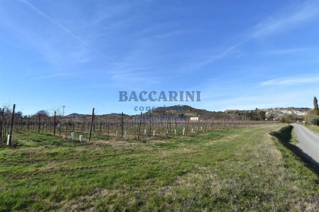 FONDO AGRICOLO CA' DEI FRATI - BRISIGHELLA