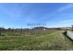 FONDO AGRICOLO CA' DEI FRATI - BRISIGHELLA