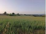 Terreno agricolo in vendita a Colle di Val d'Elsa 10000 mq  Rif: 1278763