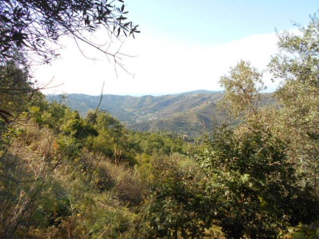 Perdifumo, Terreno Di 18.000 Mq Vista Mare Con Un Rudere - Foto 7