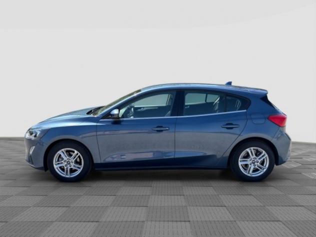 FORD Focus Focus 1.0 EcoBoost 125 CV 5p Business rif. 23833427 - Foto 2