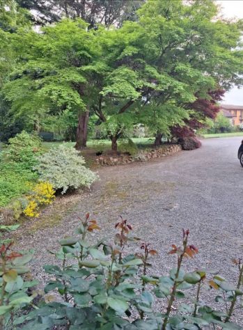 Villa con 4000mq di parco edificabile - Foto 2