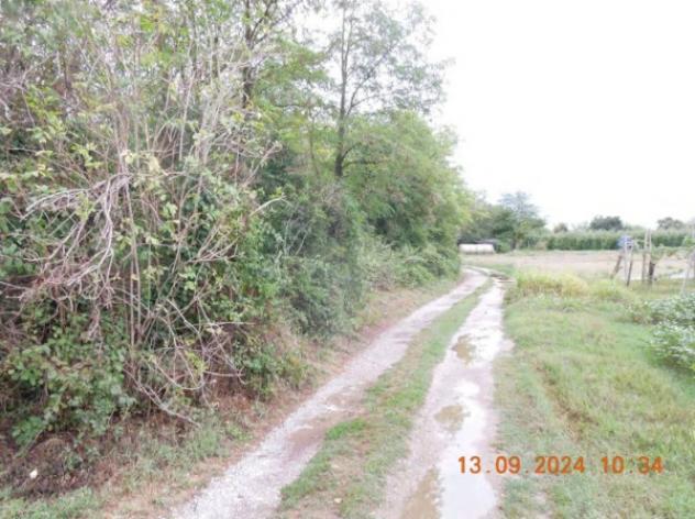 Immobile in asta di 214 m², box auto doppio in vendita a San Pier d'Isonzo - Foto 8