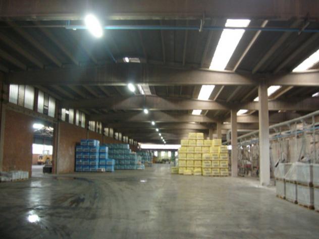 Immobile di 5000 m² con 1 locale in affitto a Casalgrande